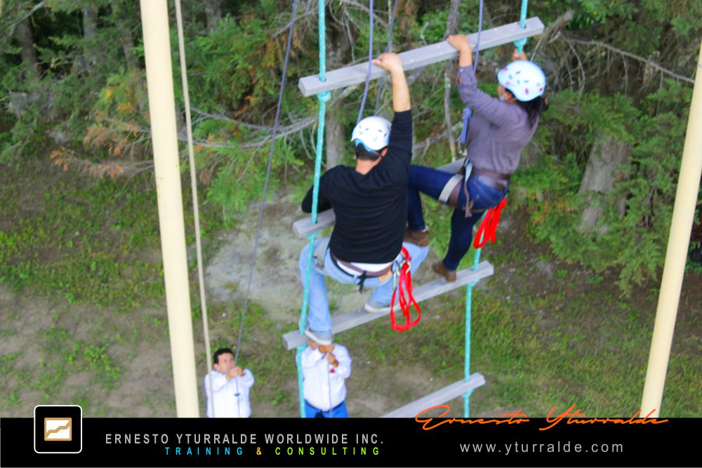 Taller de Cuerdas Bajas | Team Building para Empresas